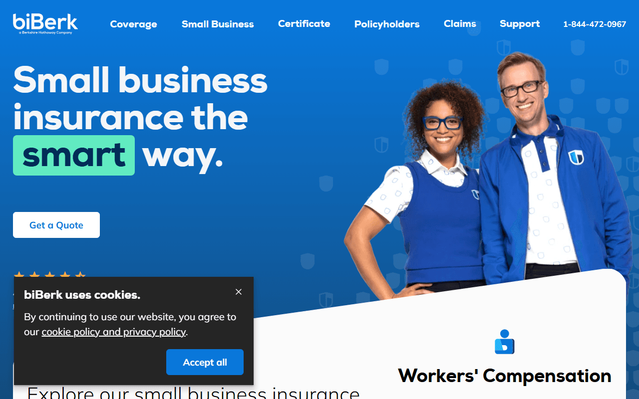 Screenshot of the biBerk website